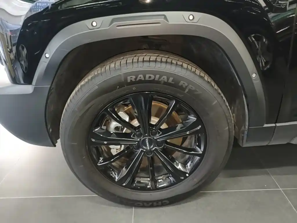 Haval Raptor 2025 2025 Model Base Version