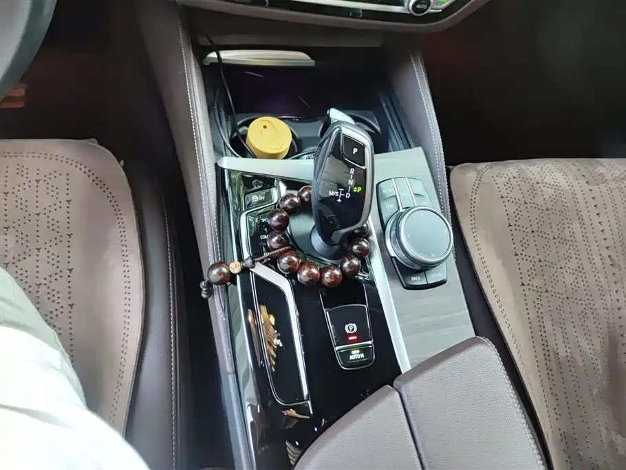 BMW 5 Series 2022 530Li Leading Luxury Package фото 16