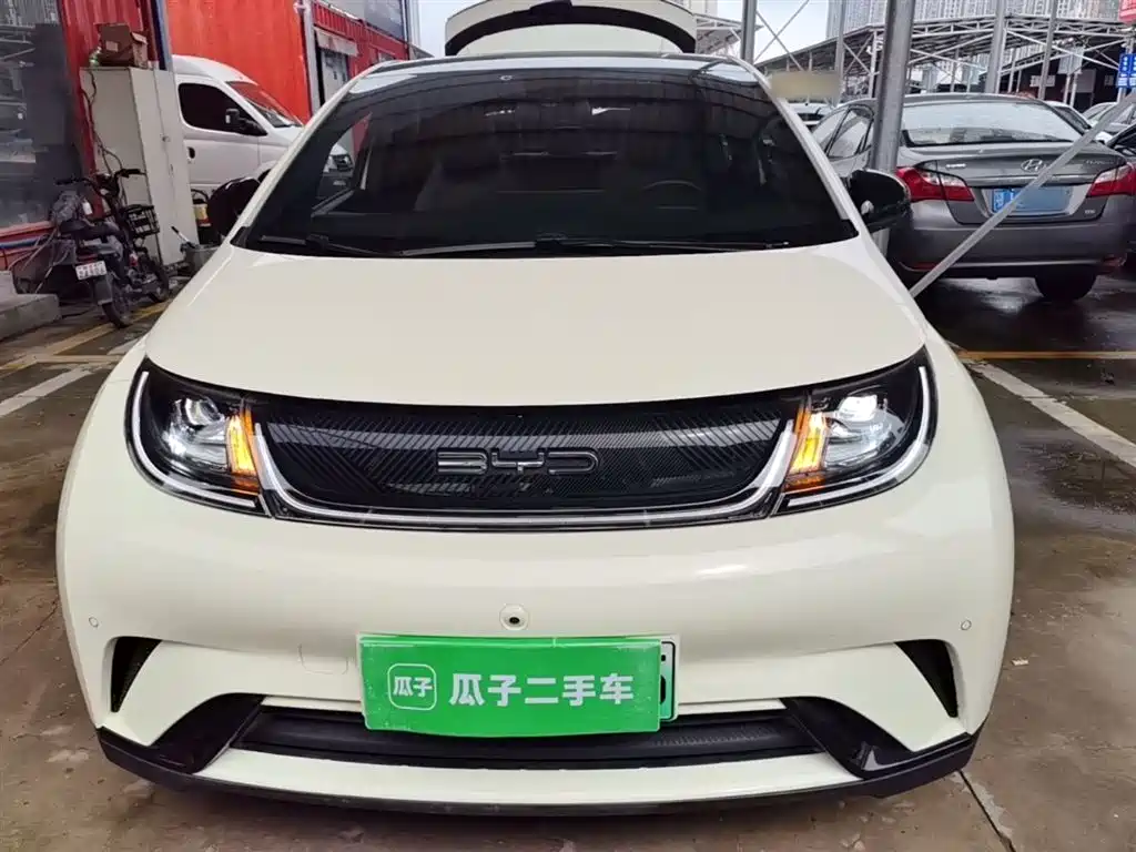BYD Dolphin 2023 420km Fashion Edition фото 3