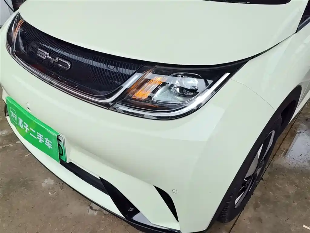 BYD Dolphin 2023 420km Fashion Edition фото 18