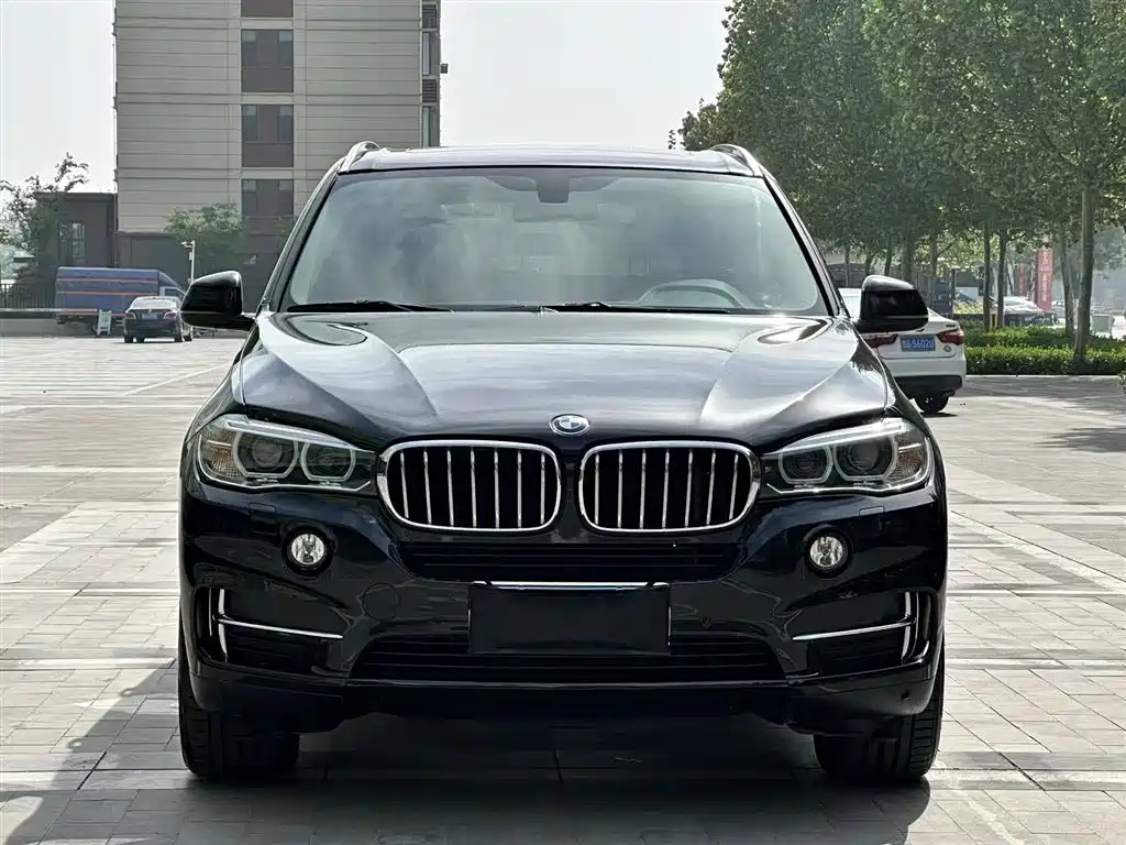 BMW X5 (Import) 2017 xDrive35i Elegance фото 3