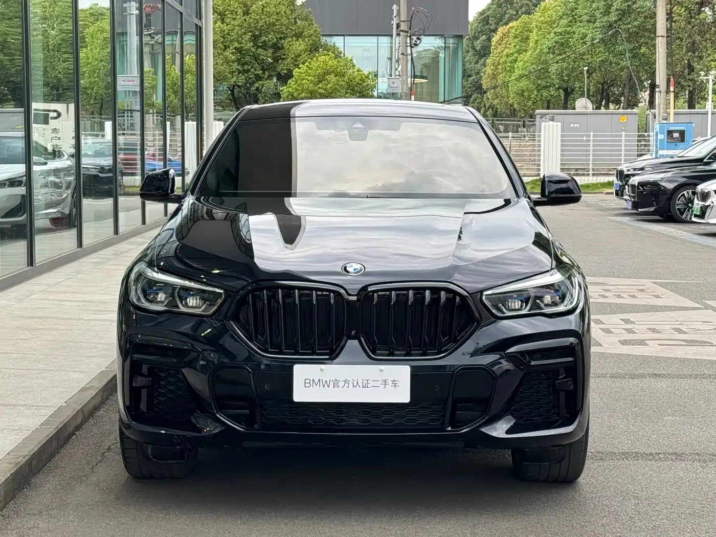 BMW X6 2022 Model Year Facelift II xDrive40i M Sport Package фото 2