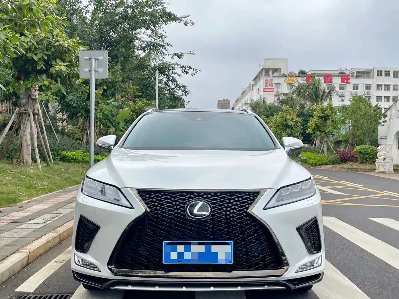 LEXUS RX