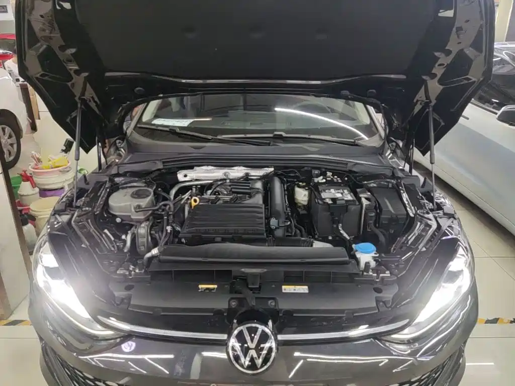 Volkswagen Lamando, миниатюра 20