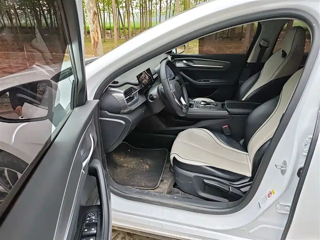 BYD Destroyer 05 2024 Glory Edition DM-i 55KM Luxury фото 12