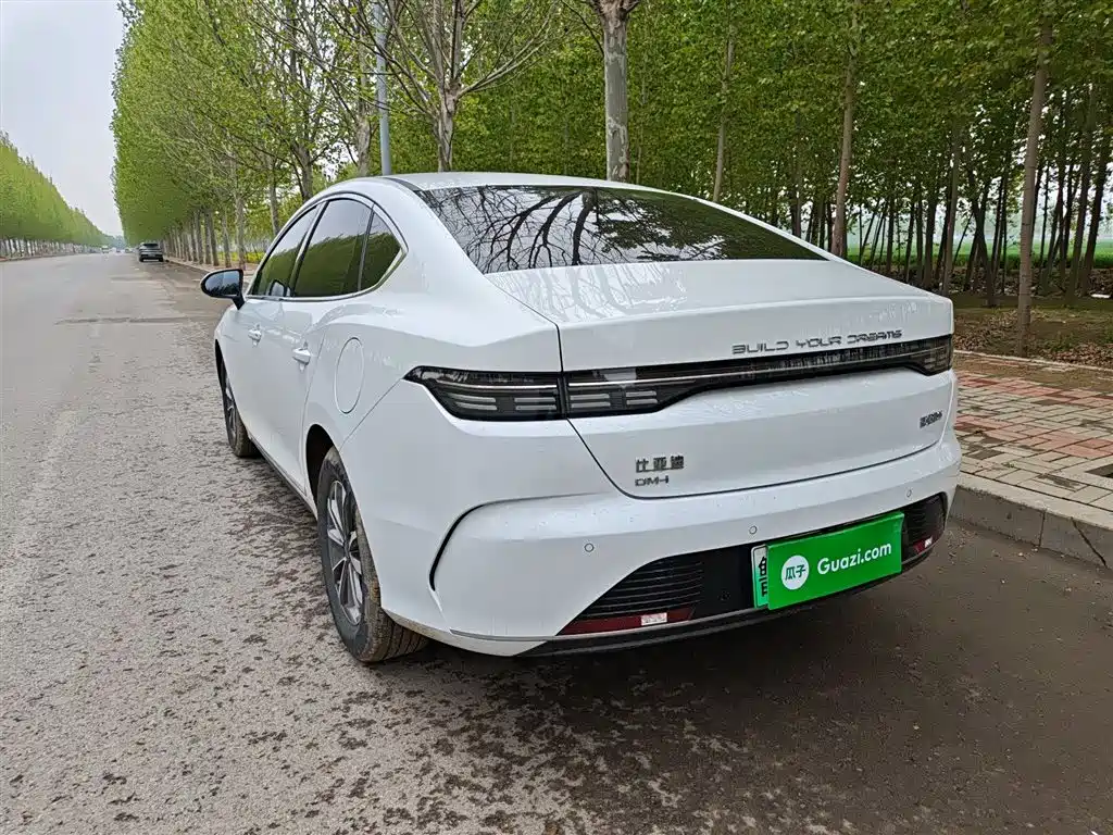 BYD Destroyer 05 2024 Glory Edition DM-i 55KM Luxury фото 23