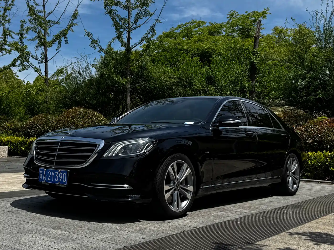 Mercedes-Benz S-Class 2020 S 350 L Premium Edition Collector's Version фото 2