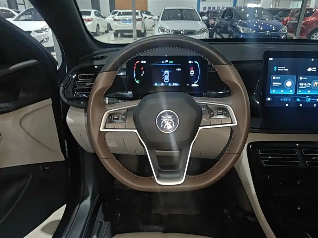 BYD Qin PLUS 2024 Glory Edition DM-i 55KM Leading фото 11