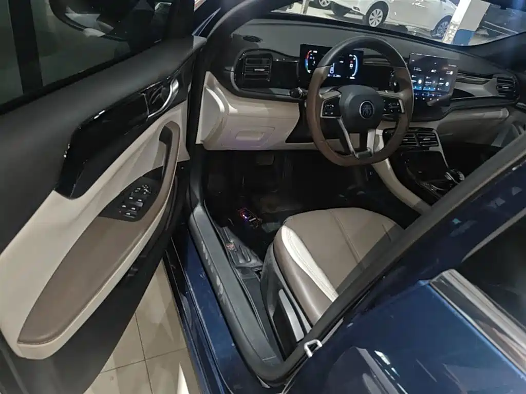 BYD Qin PLUS 2024 Glory Edition DM-i 55KM Leading фото 16