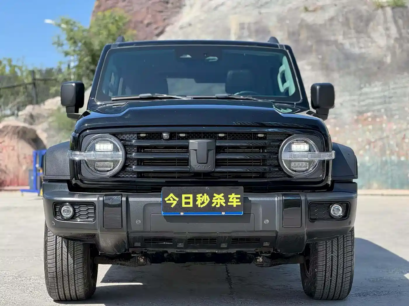 Tank 300 2021 Off-road Version 2.0T Conqueror фото 2
