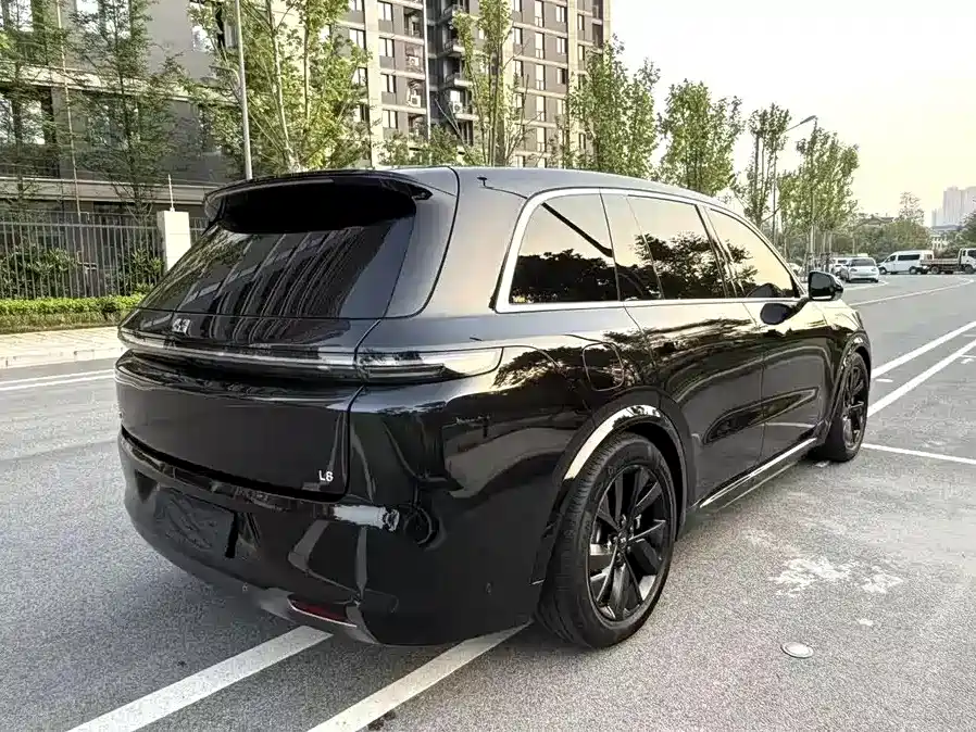 Li Auto Li L8 2023 Pro фото 12