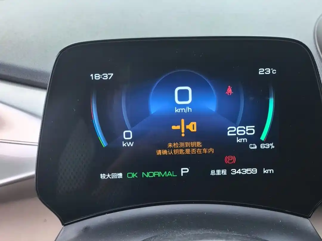BYD Dolphin 2023 420km Freedom Edition фото 12