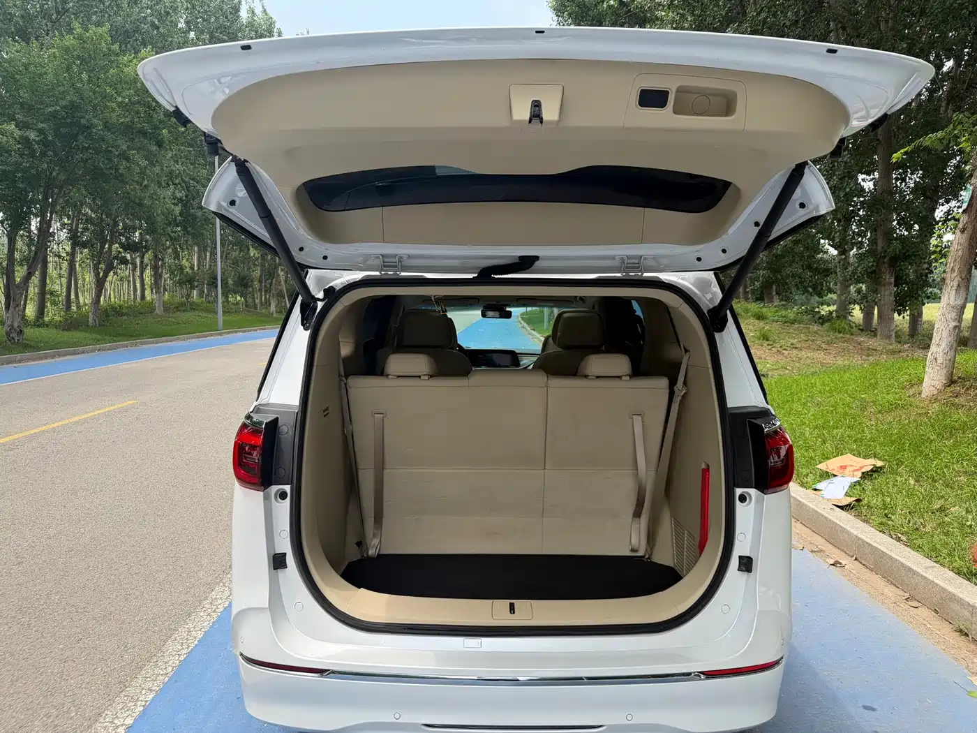 Buick GL8 2023 ES Landmaster Luxury фото 18
