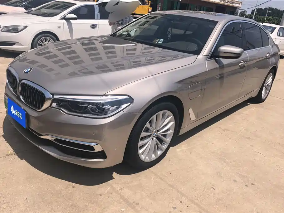 BMW 5 Series New Energy 2020 530Le Luxury Package