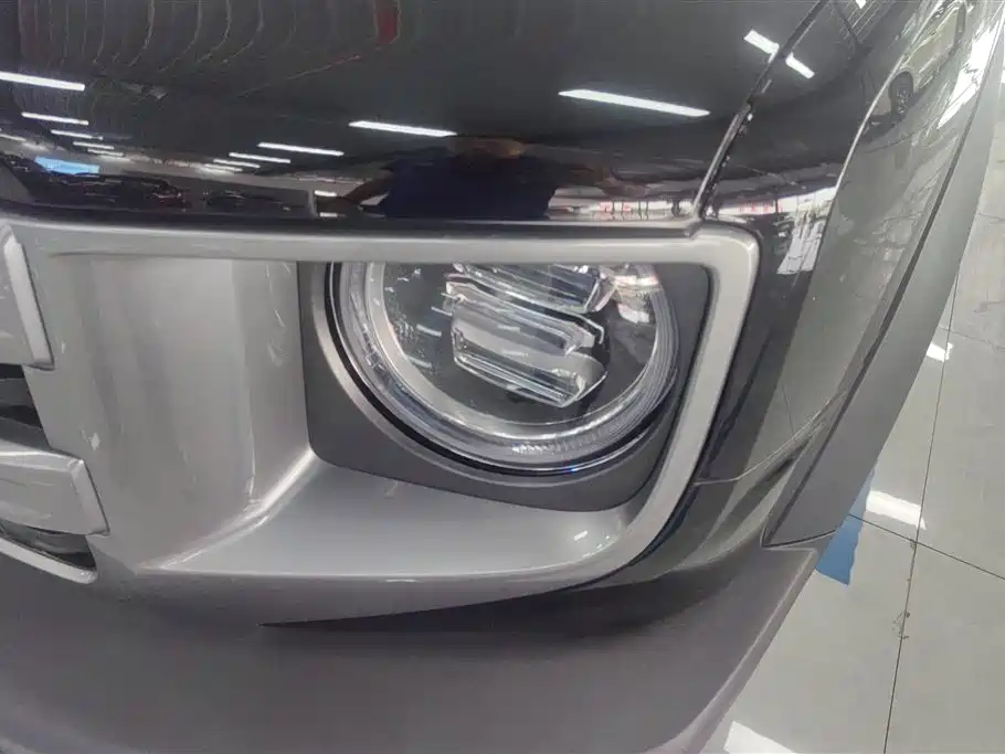 Haval Big Dog 2024 1.5T DCT Border Collie Edition фото 5