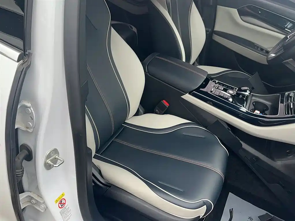 BYD Qin PLUS 2021 DM-i 55KM Flagship фото 11