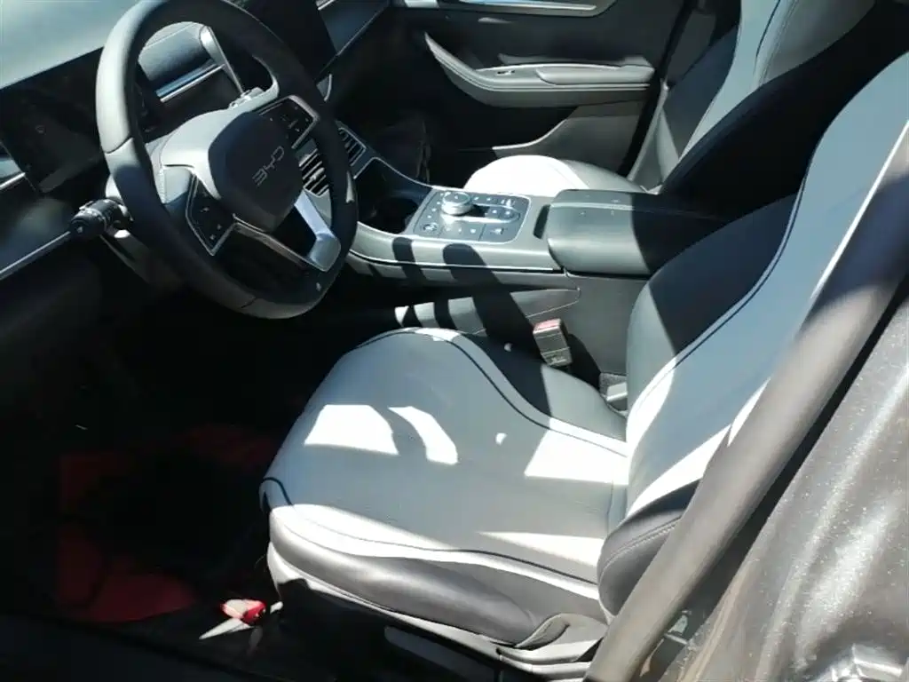 BYD Destroyer 05 2024 Glory Edition DM-i 55KM Luxury фото 15
