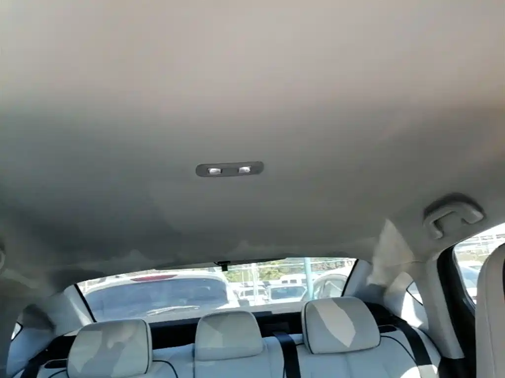 BYD Destroyer 05 2024 Glory Edition DM-i 55KM Luxury фото 18