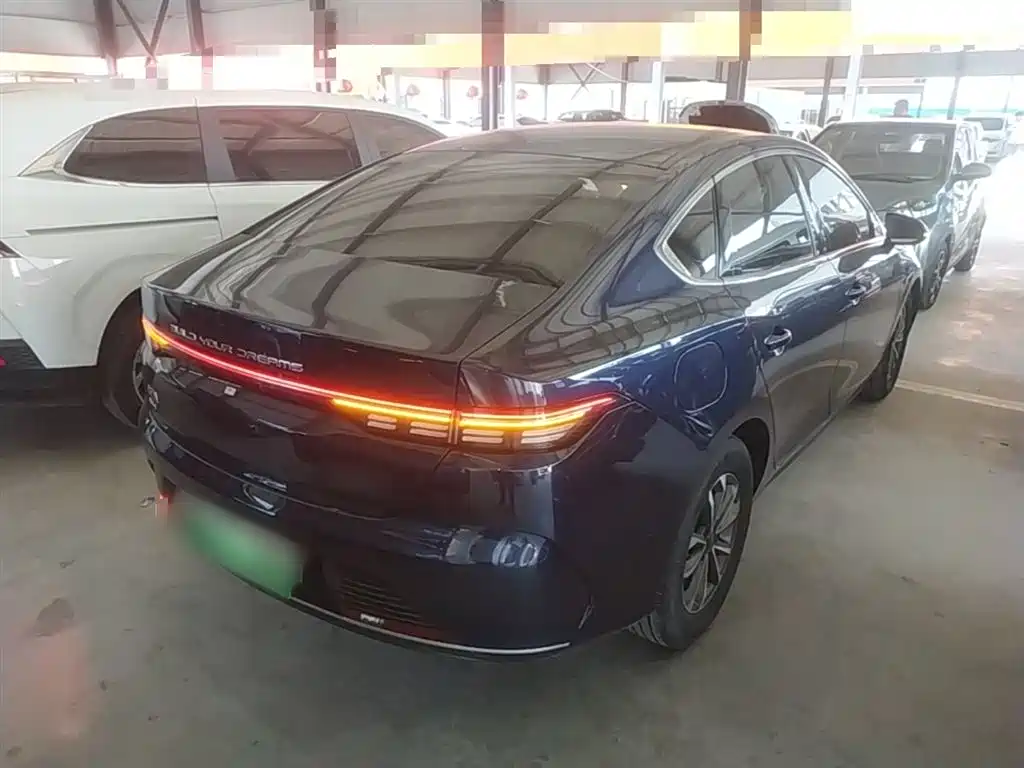 BYD Destroyer 05 2024 Glory Edition DM-i 55KM Luxury фото 7