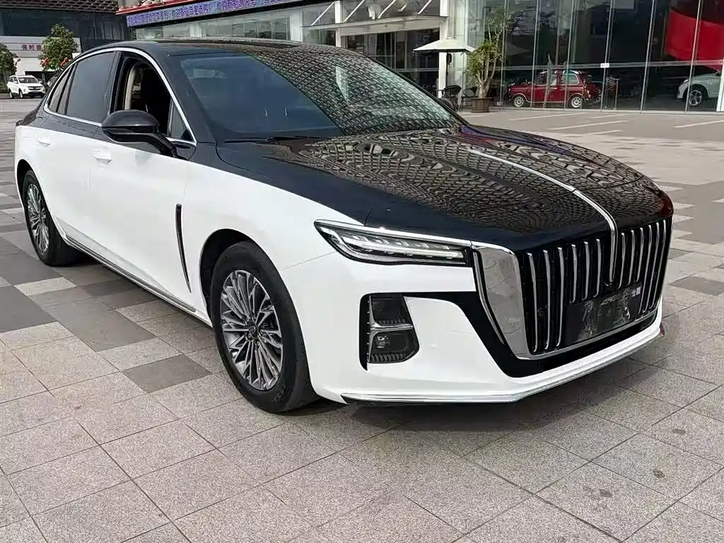 Hongqi H5 2023 2.0T Auto Smart Connect Flag Comfort фото 3
