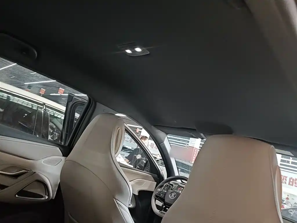 BYD Song Pro New Energy 2024 Glory Edition DM-i 71KM Pilot фото 18