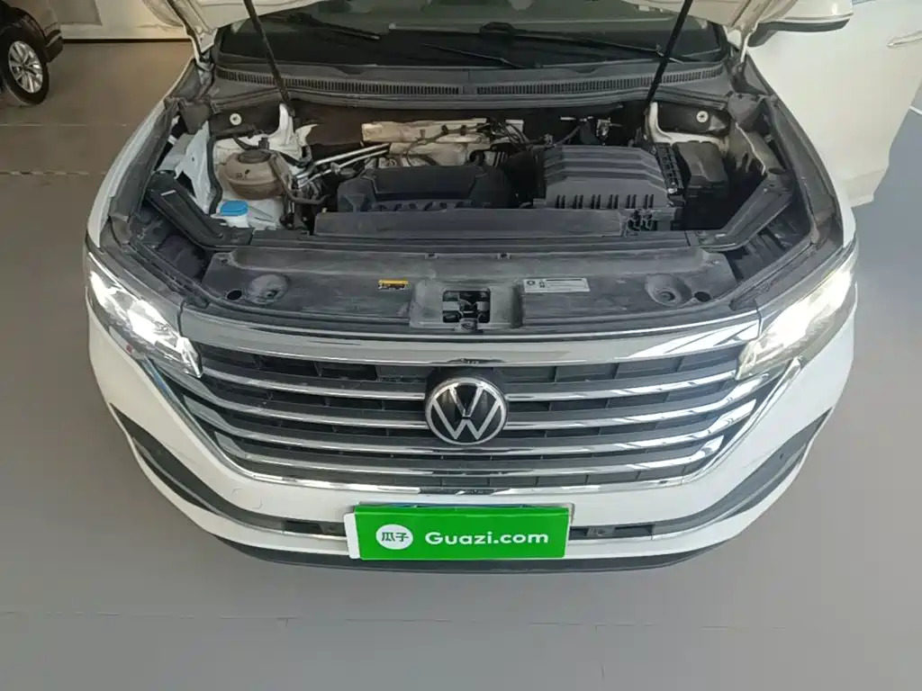 Фото 20 - Volkswagen Viloran
