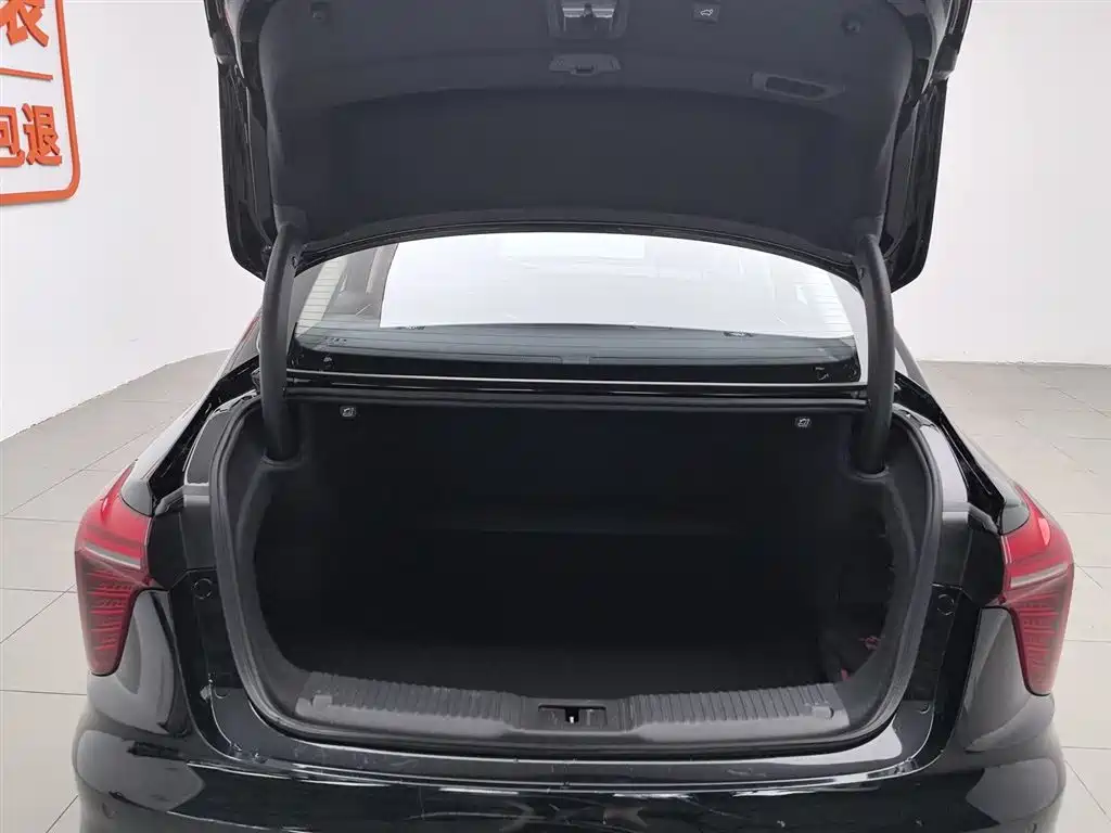 Hongqi H5 2023 2.0T Auto Smart Connect Flag Comfort фото 16