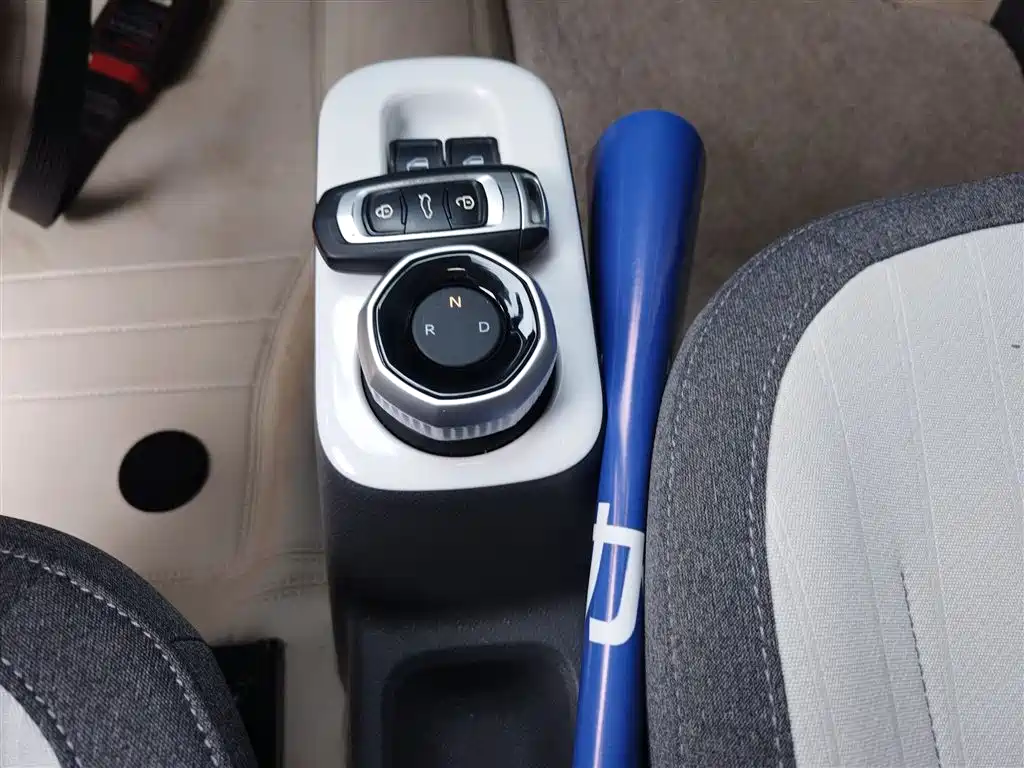 Geely Galaxy Panda 2025 Panda mini 210km Vitality Bear фото 14
