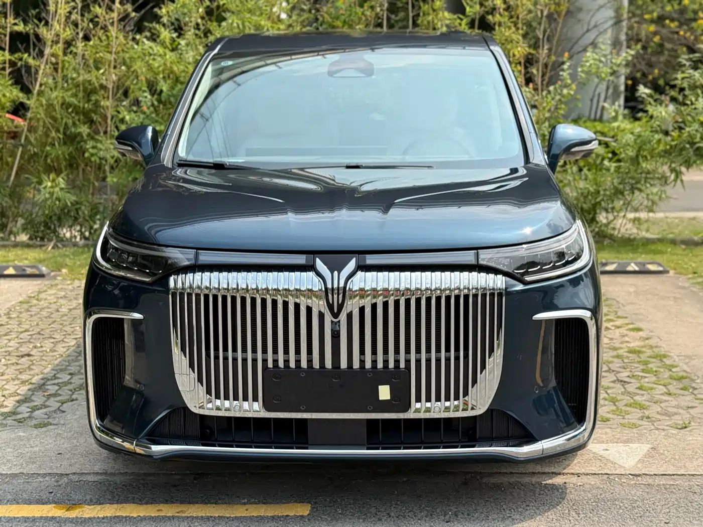 Voyah Auto Voyah Dreamer 2025 PHEV AWD Flagship Kunpeng Edition фото 2