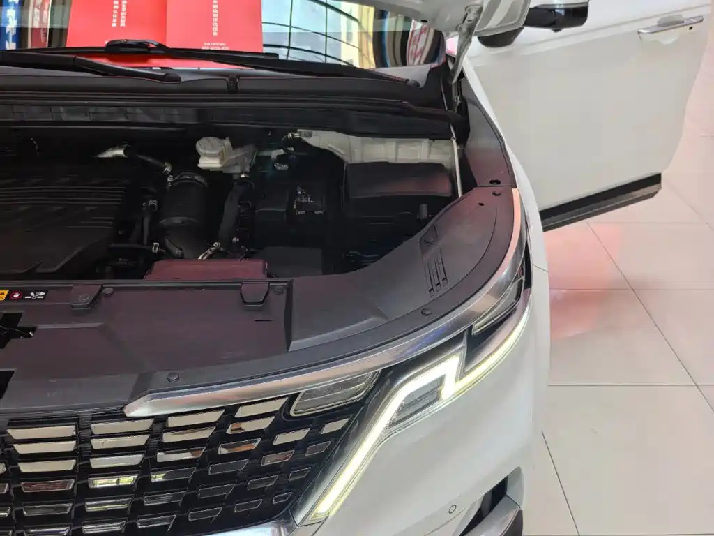 Kia Carnival 2022 2021 2.0T Flagship Edition