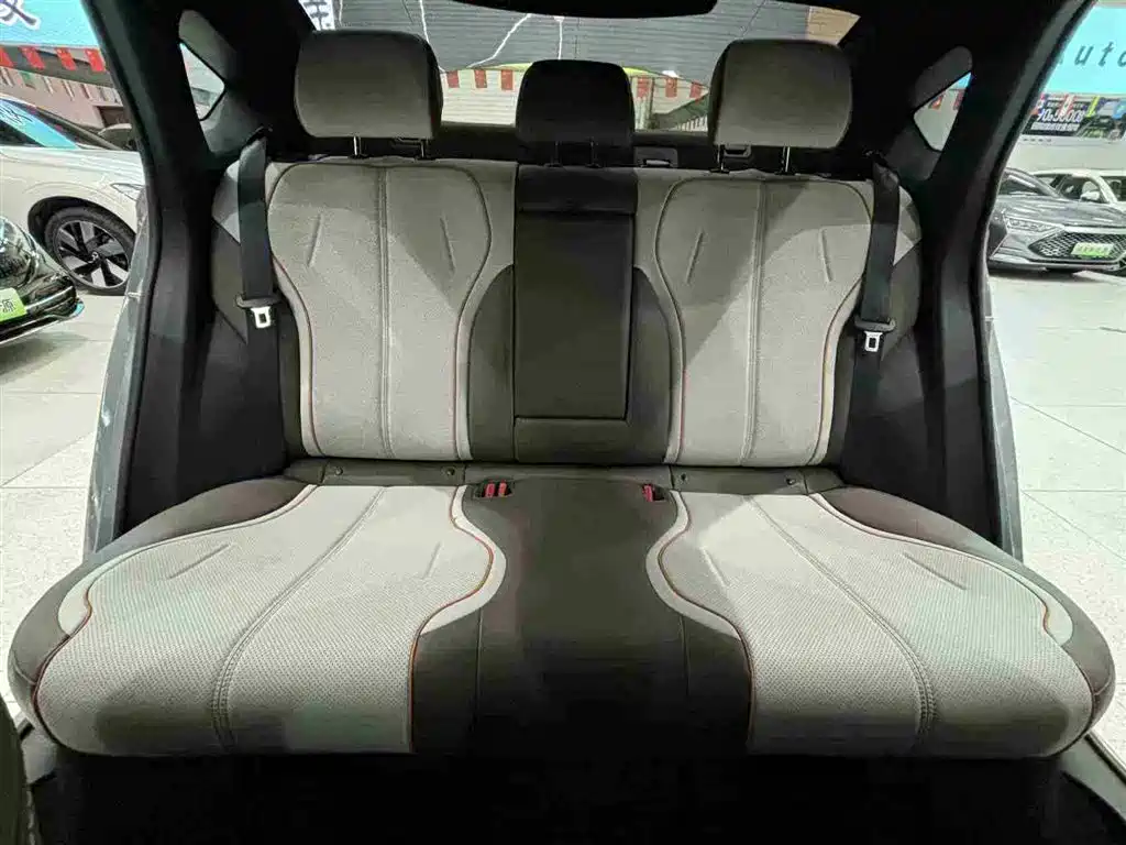 BYD Qin PLUS 2023 Champion Edition DM-i 120KM Leading Type фото 23