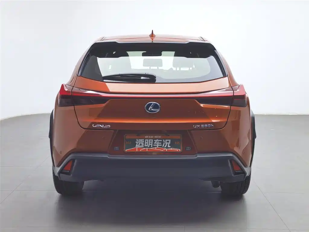 Lexus UX 2020 260h Explore Fun Edition China V фото 4