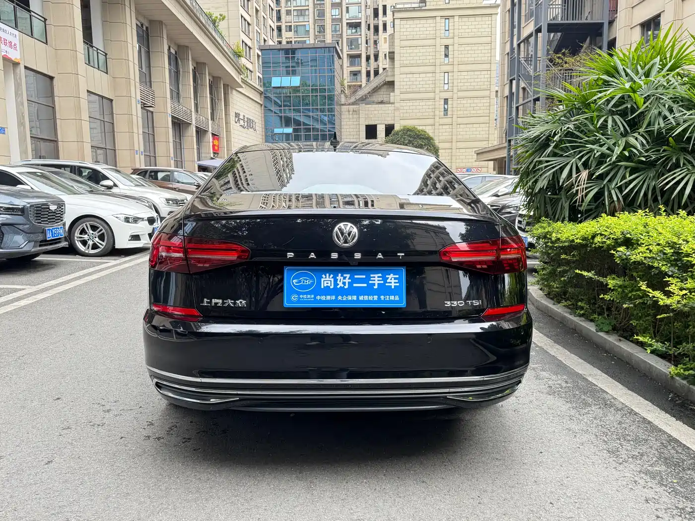 Volkswagen Passat 2020 330TSI Elite Edition China VI фото 11