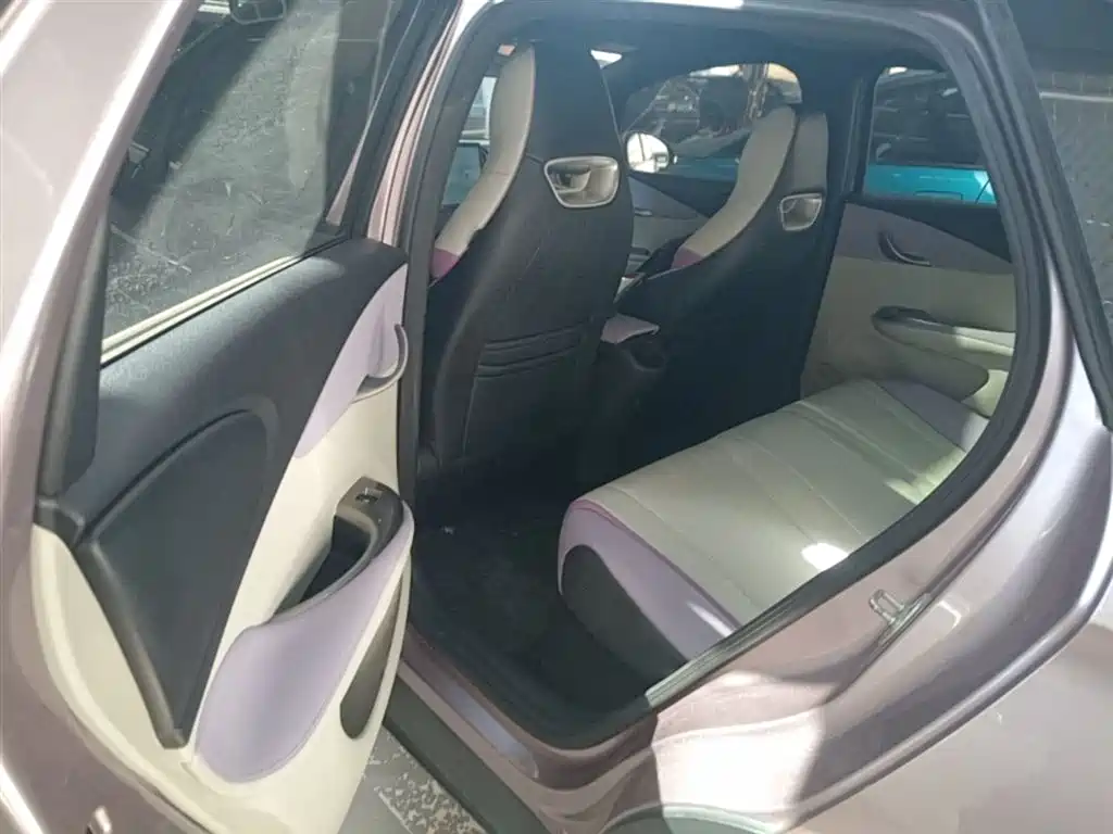 BYD Dolphin 2021 Model 405km Fashion Edition фото 17