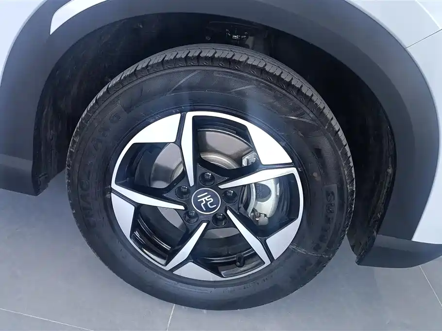 BYD Yuan UP 2024 401KM Leading Edition фото 6