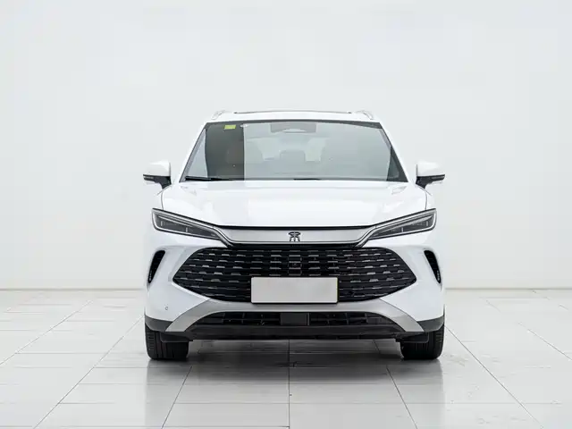 BYD Song L DM-i 2024 112km Superior
