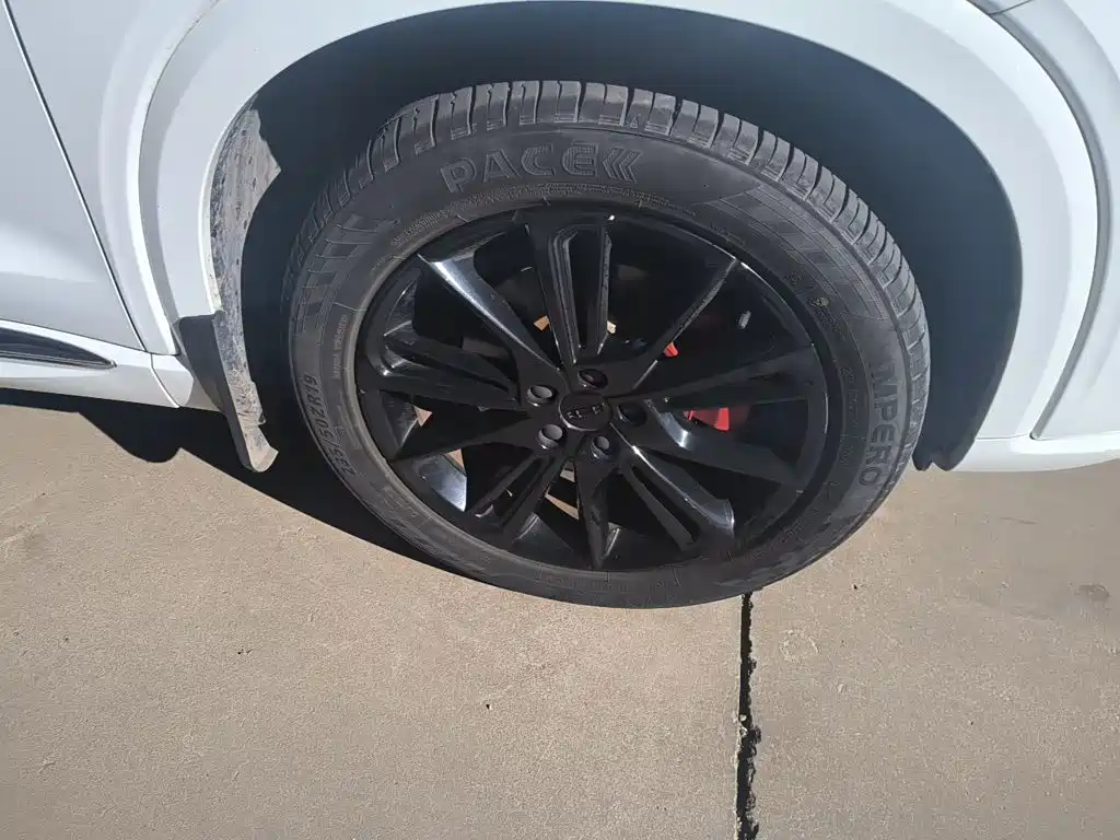 Фото 8 - Geely Tugella