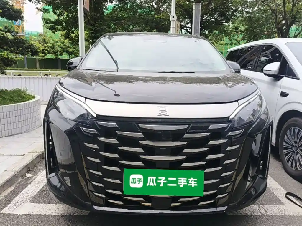 Фото 3 - BYD Xia