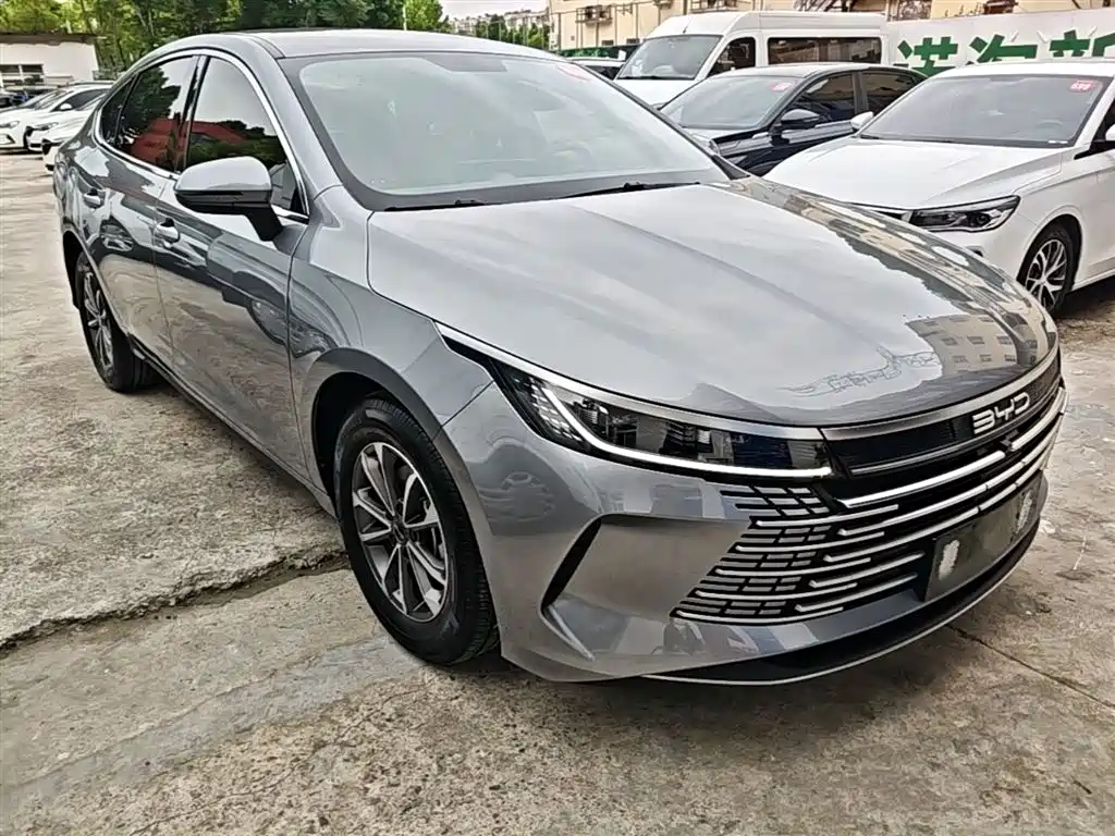 BYD Destroyer 05 2023 Champion Edition DM-i 55KM Luxury фото 4