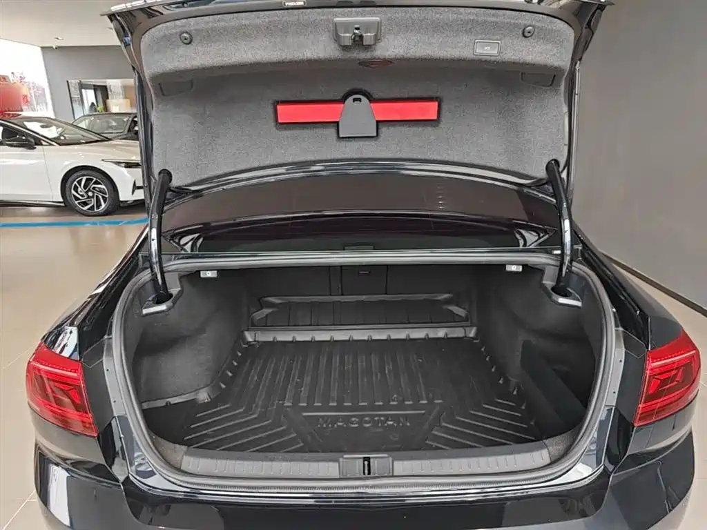 Volkswagen Magotan 2020 330TSI DSG Luxury фото 19