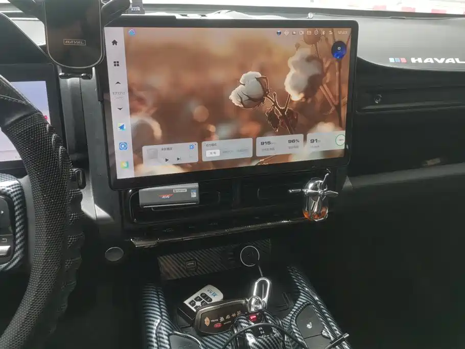 Haval Meng Long NEV 2024 Hi4 145 Cross-country Edition фото 13