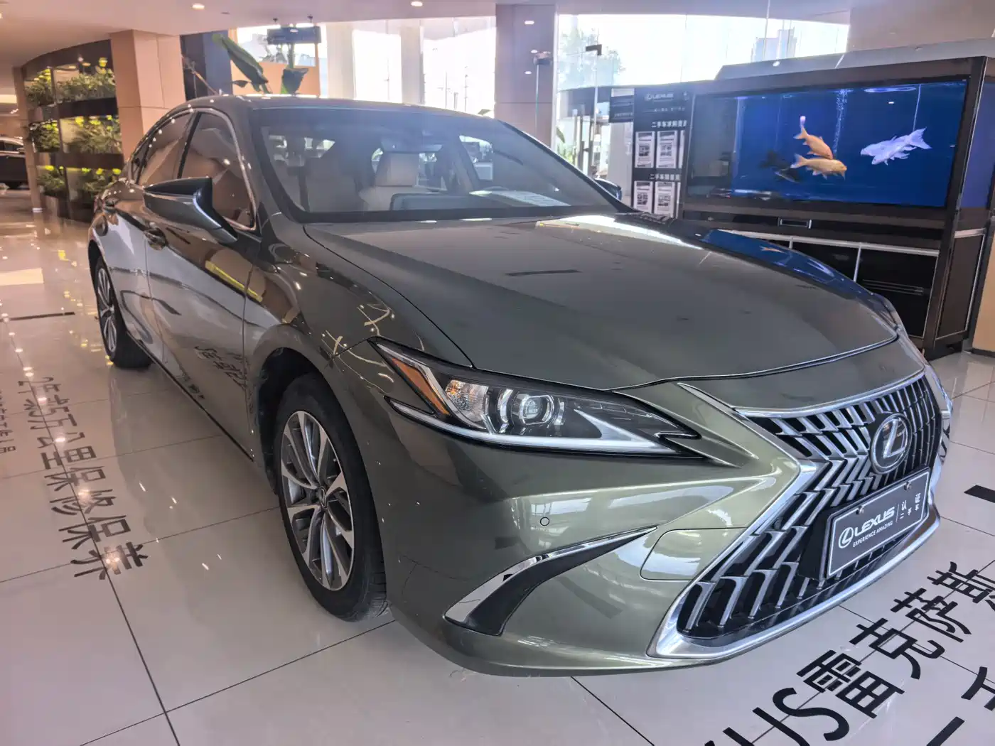 Lexus ES 2023 200 Excellence Edition фото 3