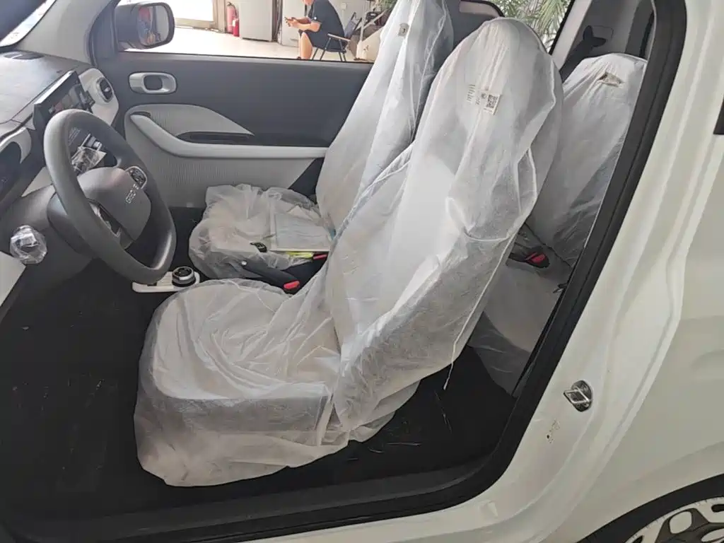 Geely Galaxy Panda 2026 2025 Panda mini 210km Vitality Bear