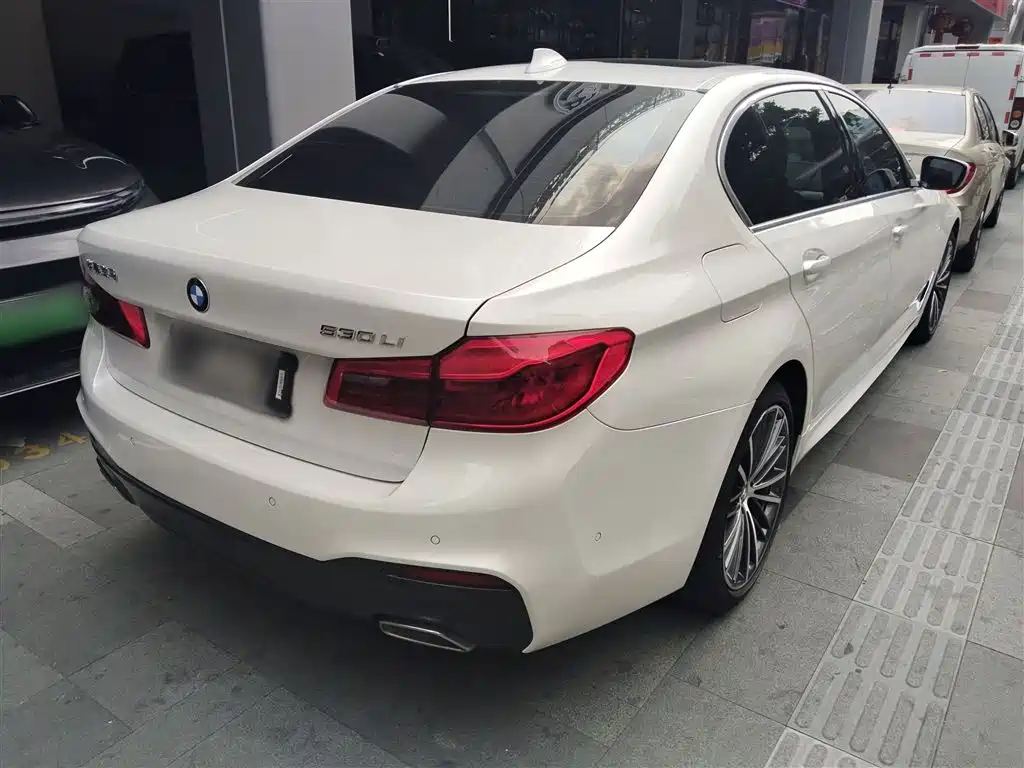 BMW 5 Series 2020 530Li Leading M Sport Package фото 7