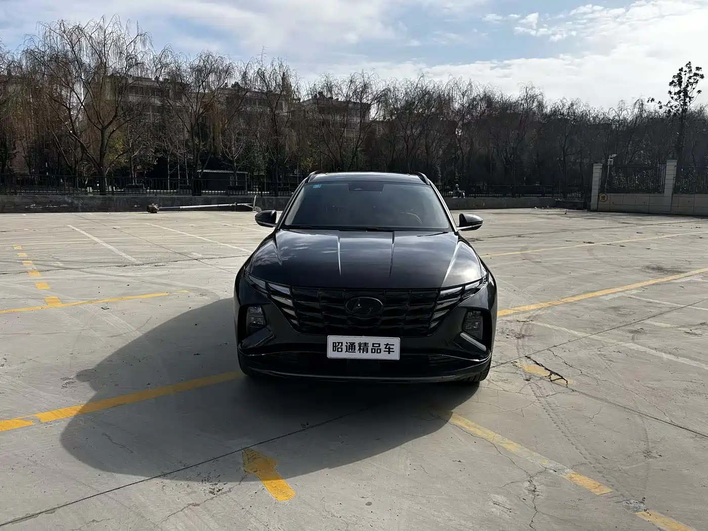 Hyundai Tucson 2021 Tucson L 1.5T DCT LUX Premium фото 2