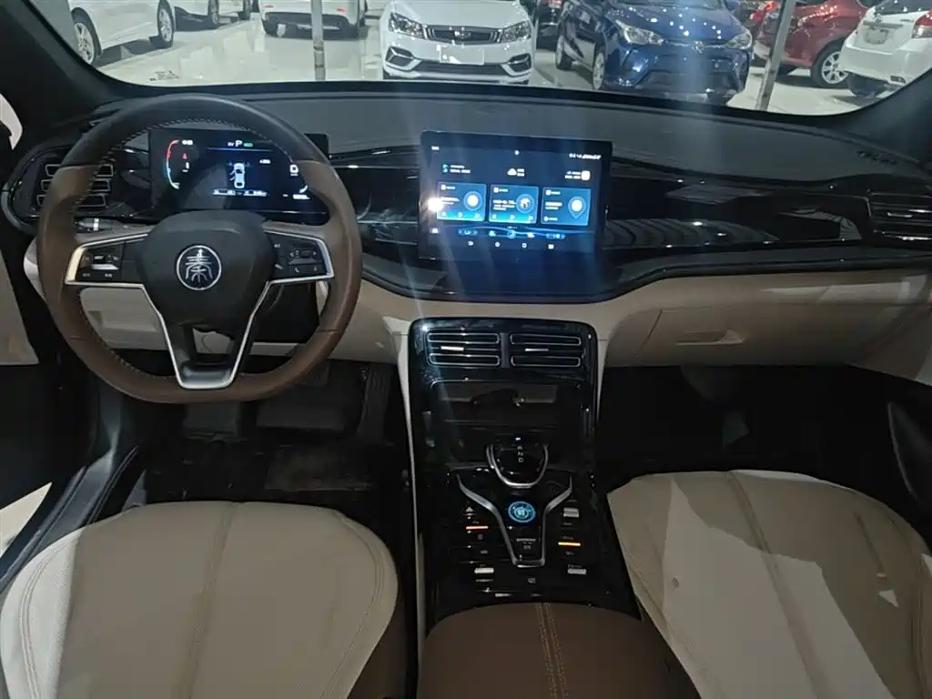 BYD Qin PLUS 2024 Glory Edition DM-i 55KM Leading фото 10