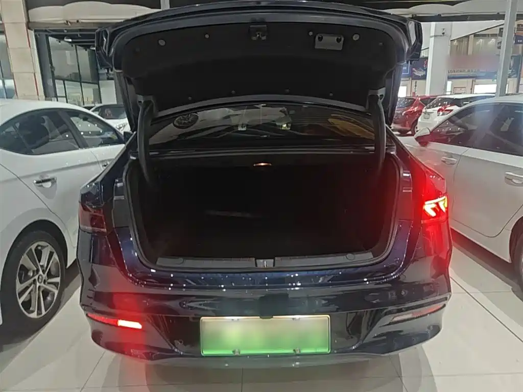 BYD Qin PLUS 2024 Glory Edition DM-i 55KM Leading фото 19