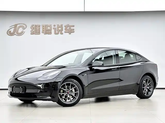 Tesla Model 3 2022 Model Rear-Wheel Drive Version