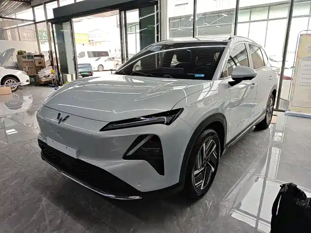  Wuling Motors Wuling Xingguang S 2024 510km Flagship Model