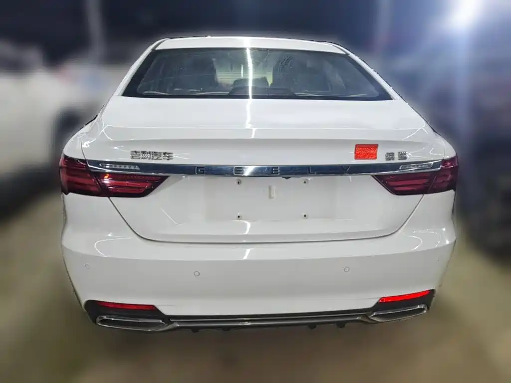 Фото 8 - Geely Binrui